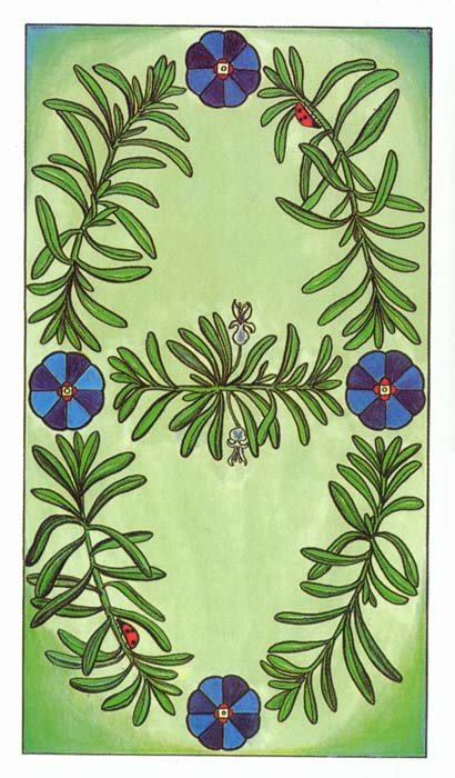 Herbal Tarot